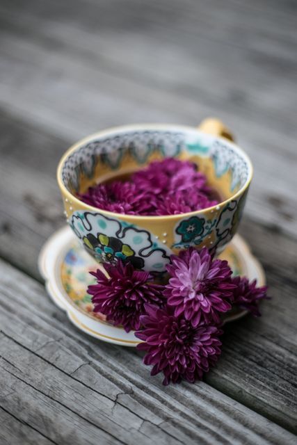 Purple Petaled Flower on Beige and White Teacup - Download Free Stock Photos Pikwizard.com