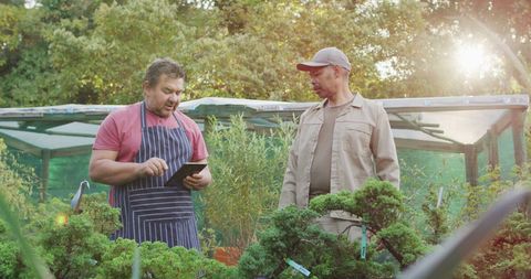 Male Gardeners Collaborating at Bonsai Nursery