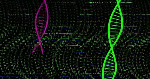 Neon DNA Helix Over Binary Code Background Representing Genomics Data and Digital Biology