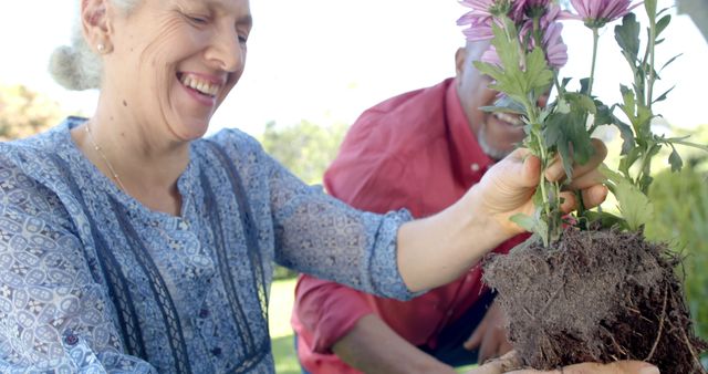 Senior Couple Enjoying Gardening Together Planting Flowers - Download Free Stock Images Pikwizard.com