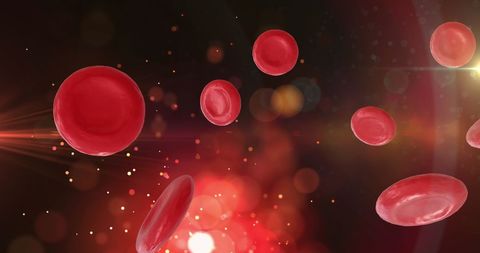 Digital Illustration of Red Blood Cells on Abstract Background