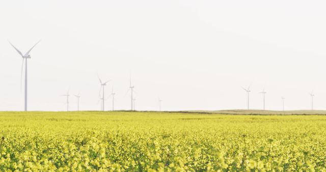 General view of wind turbines in countryside landscape with cloudless sky - Download Free Stock Photos Pikwizard.com