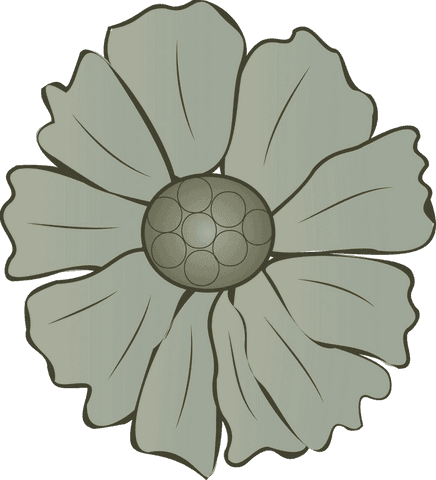 transparent green vector flower with eight vein petals - Download Free Stock Videos Pikwizard.com