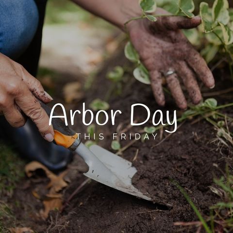 Celebrating arbor day with hands-on gardening activity