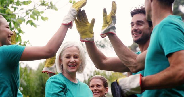 Group of Volunteers Celebrating with High Fives for Good Work - Download Free Stock Images Pikwizard.com