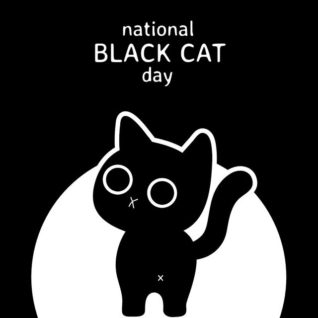 Vector image of cat with national black cat day text on black background, copy space. Illustration, raise awareness, celebration, support, black cat, superstition.