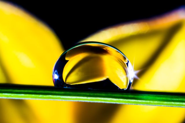 A water droplet on a blade of grass reflecting a yellow flower in sharp detail. The vibrant yellow hues and clear reflection make this perfect for nature-themed projects, educational materials, or backgrounds highlighting natural beauty, freshness, and morning environment. Use in blogs, posters, or as nature-themed decor.