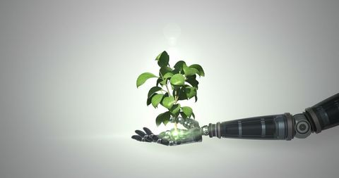 Robotic Hand Nurturing Green Plant Growth Technology - Download Free Stock Images Pikwizard.com