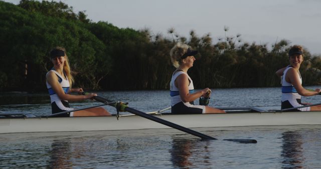 Female Rowing Team Training on Lake - Download Free Stock Images Pikwizard.com