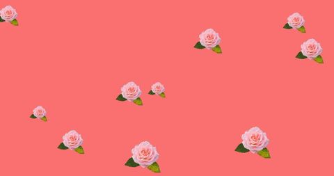 Pink roses pattern on vivid coral background