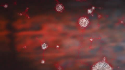 Virus Cells and Data Interaction Animation on Black Digital Background
