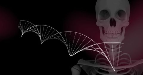 DNA Helix and Human Skeleton on Black Background
