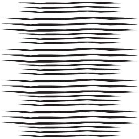 Abstract Black Lines on Transparent Background - Download Free Stock Videos Pikwizard.com