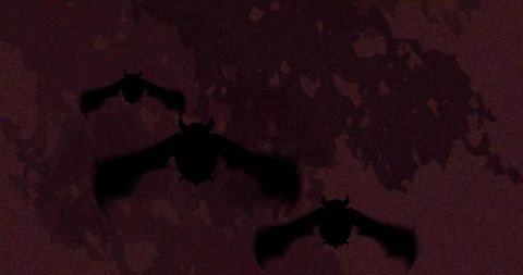 Three silhouetted bats gliding across maroon night sky with grainy canopy leaves, nocturnal flight