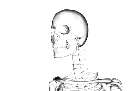 transparent human skeleton diagram on black background - Download Free Stock Videos Pikwizard.com