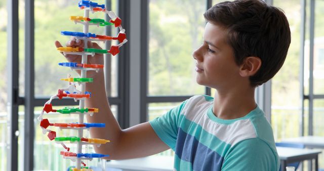 Young boy examining a colorful DNA model while in a classroom, with large windows visible in the background. Suitable for educational content, scientific learning materials, and articles about childhood learning and development.
