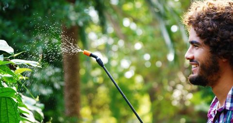 Man watering plants with garden sprayer amidst lush greenery
