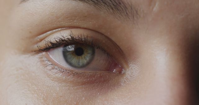 Close-up of Beautiful Green Eye with Natural Eyelashes - Download Free Stock Images Pikwizard.com