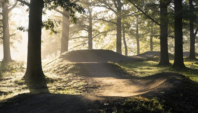 Sunlit forest pumptrack with winding dirt trail, earthen berms and morning sunbeams