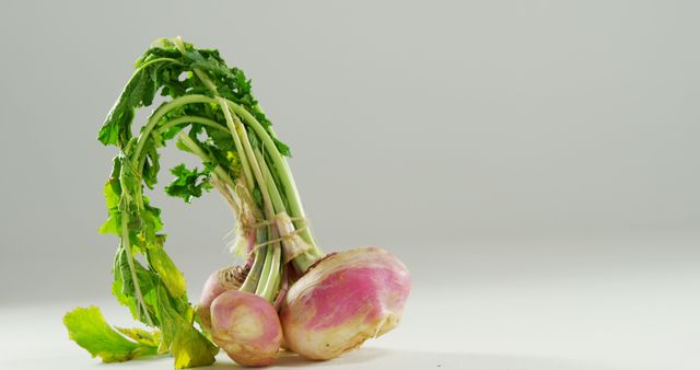 Fresh Purple Turnips on Clean White Background - Download Free Stock Images Pikwizard.com