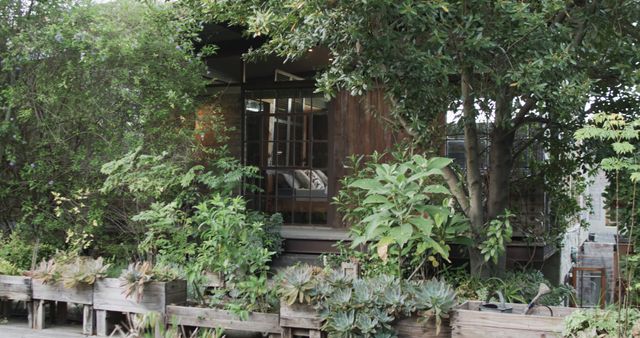 This tranquil scene showcases a cozy wooden cabin nestled among vibrant trees and lush foliage. The home is surrounded by various succulent-filled planters, enhancing the natural aesthetic. Ideal for promoting eco-friendly living, garden designs, outdoor retreats, or relaxation concepts.