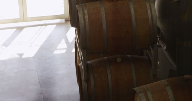 Sunlight Shining on Stacked Wooden Wine Barrels in Wine Cellar - Download Free Stock Images Pikwizard.com