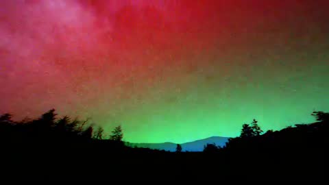 Vivid Aurora Borealis Over Forested Landscape Transitioning from Green to Red