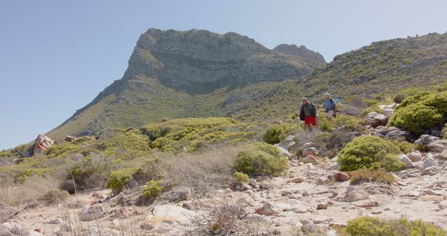 Hikers Walking on Rocky Trail in Lush Mountain Landscape - Download Free Stock Images Pikwizard.com