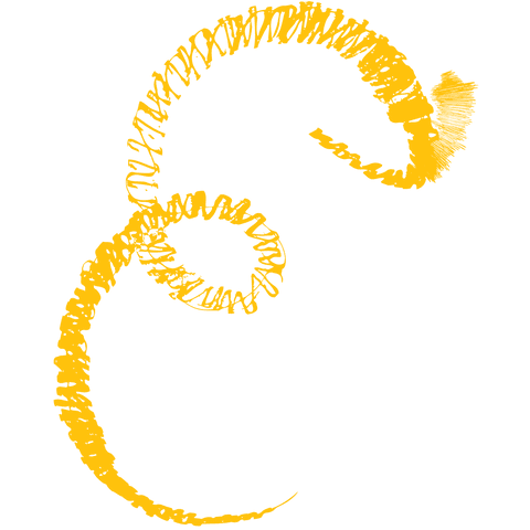 yellow abstract curved shapes on transparent background - Download Free Stock Videos Pikwizard.com