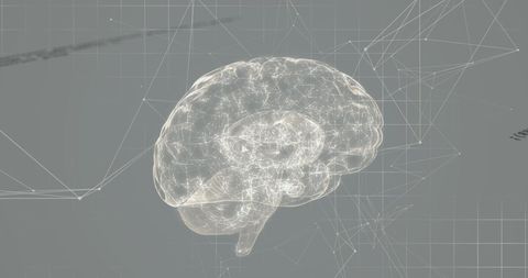 Digital Brain Concept with Neural Connections Visual - Download Free Stock Images Pikwizard.com