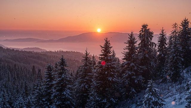 Setting sun over snow-covered pine forest, misty alpine mountain panorama at dusk