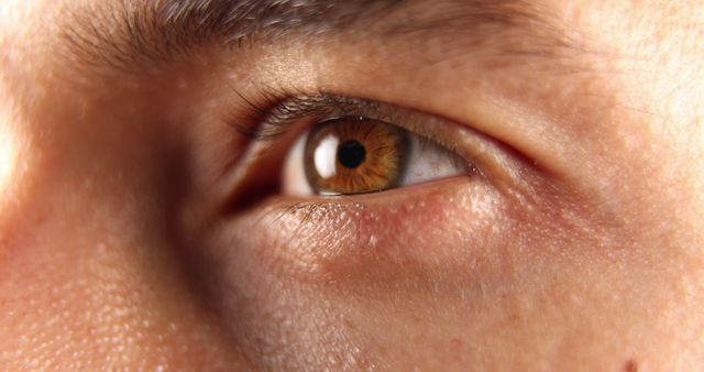 Close-up of a young Caucasian man's eye, with copy space. Detail of the iris and eyelashes emphasizes human eye anatomy.