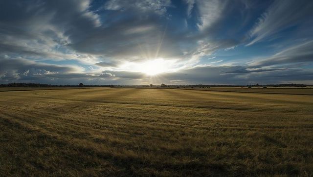Panoramic Golden Hour Harvest Field with Dramatic Clouds and Sun Rays Over Farmland