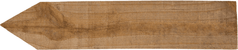 transparent pointed wooden plank close-up detailed texture - Download Free Stock Videos Pikwizard.com