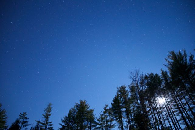 Starry Night Sky above Pine Tree Forest with Full Moon - Download Free Stock Photos Pikwizard.com