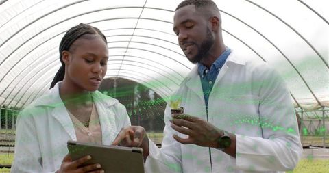 Scientists Analyzing Data and Seedlings in a Greenhouse Lab
