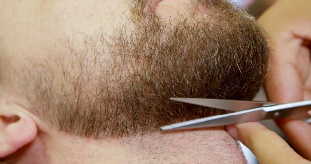 Barber Trimming Beard with Scissors - Download Free Stock Images Pikwizard.com