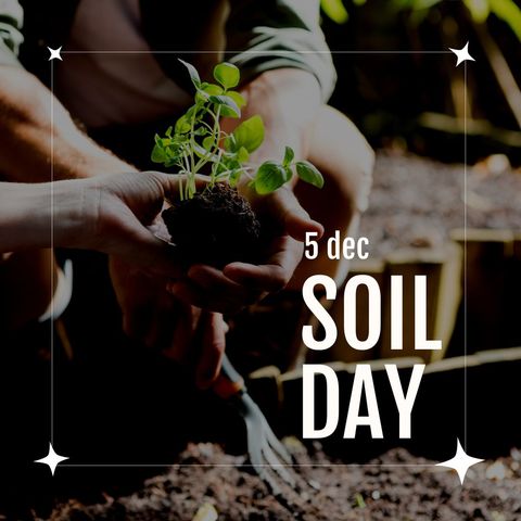 Celebrating World Soil Day with Seedling in Hands - Download Free Stock Templates Pikwizard.com