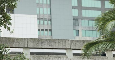 Weathered concrete parapet framing modern office facade with tropical palm fronds