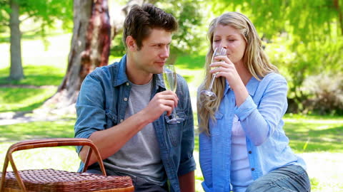 Couple Enjoying Picnic with Champagne in Lush Park