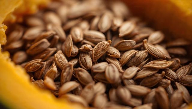 Macro Close-up Showing Pumpkin Seed Cluster Nestled in Orange Flesh with Ridged Brown Kernels