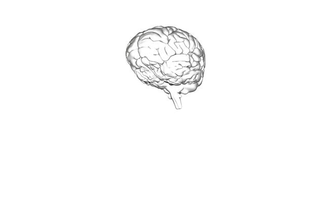 Transparent Anatomical Brain Isolated on White Background - Download Free Stock Videos Pikwizard.com