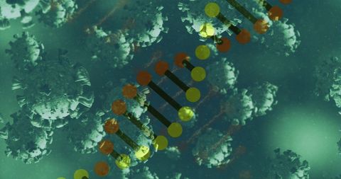 3D DNA Helix with Viruses on Digital Interface