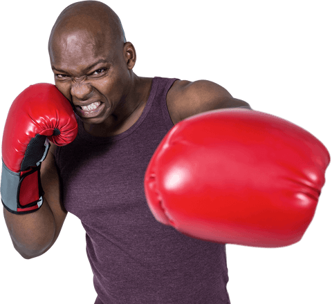 Muscular Athlete Wearing Boxing Gloves Delivering Punch on Transparent Background - Download Free Stock Videos Pikwizard.com