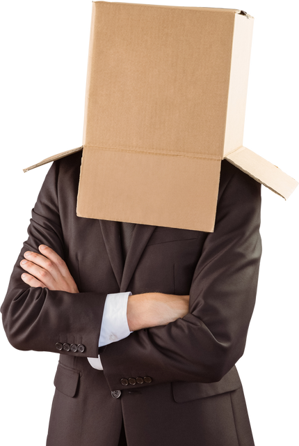 Anonymous Businessman Wearing Cardboard Box Looking Confident - Download Free Stock Videos Pikwizard.com