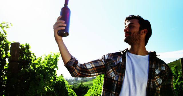 Man Inspecting Wine Bottle in Vineyard on Sunny Day - Download Free Stock Images Pikwizard.com