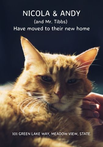 Serene Ginger Cat Depicts New Home Announcement - Download Free Stock Templates Pikwizard.com