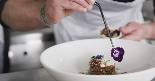 Chef Garnishing Elegant Dish with Edible Flower in Modern Kitchen - Download Free Stock Images Pikwizard.com