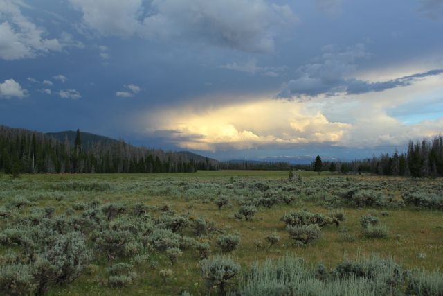 Serene Meadow and Dramatic Sky at Sunset - Download Free Stock Photos Pikwizard.com