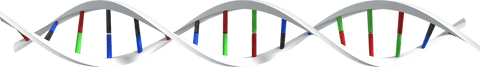 Transparent 3D DNA Strand Structure Illustration - Download Free Stock Videos Pikwizard.com